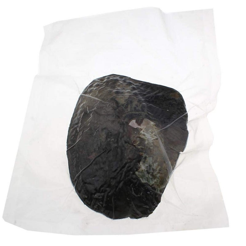 jessie Big Oysters with Plenty of Pearls Inside, 1 PC Cultured Freshwater Oyster Pearl for Jewelry Making or Birthday Gifts (5-7mm) - Image 5